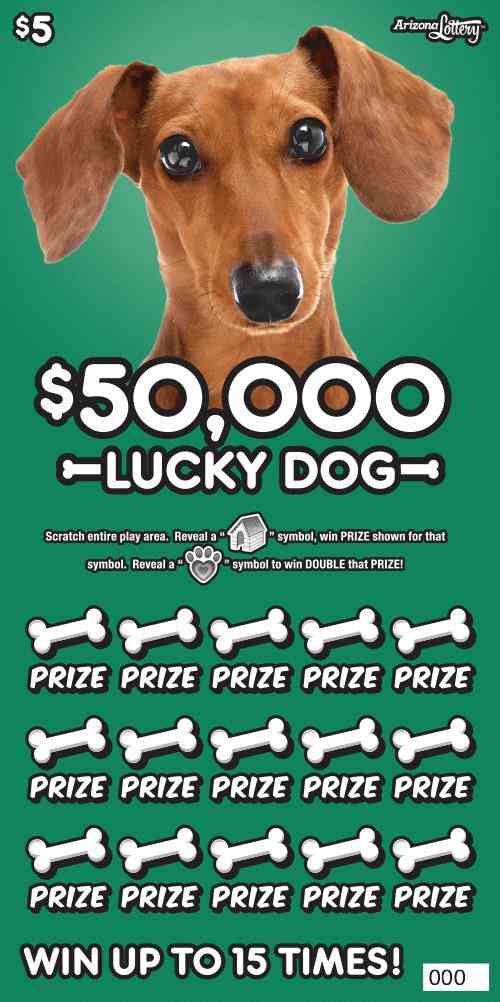 $50,000 Lucky Dog scratchcard - game number #1403 - front