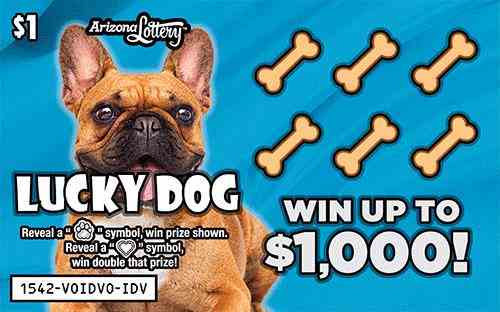 Lucky Dog scratchcard - game number #1542 - front