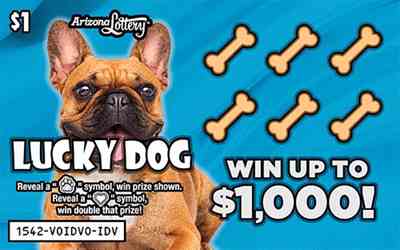 Lucky Dog scratchcard - game number #1542 - front