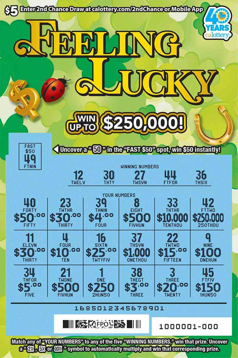 Feeling Lucky scratchcard - game number #1685 - front-scratched