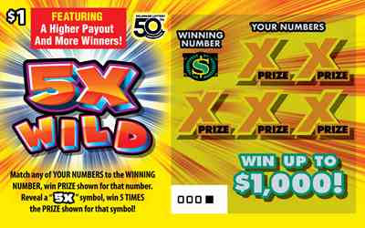 5X Wild scratchcard - game number #492 - front