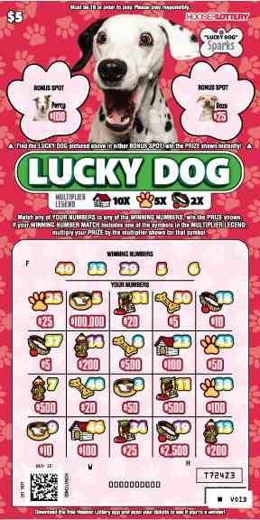 Lucky Dog scratchcard - game number #2587 - front-scratched