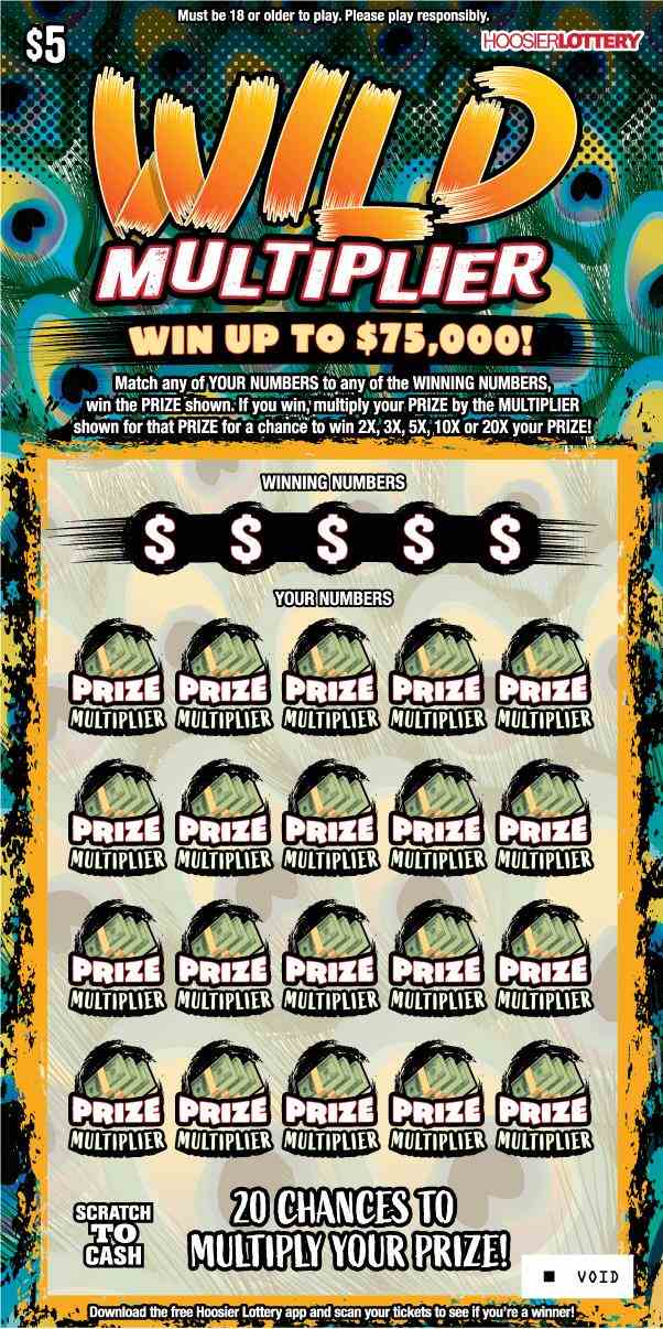 Wild Multiplier scratchcard - game number #2604 - front