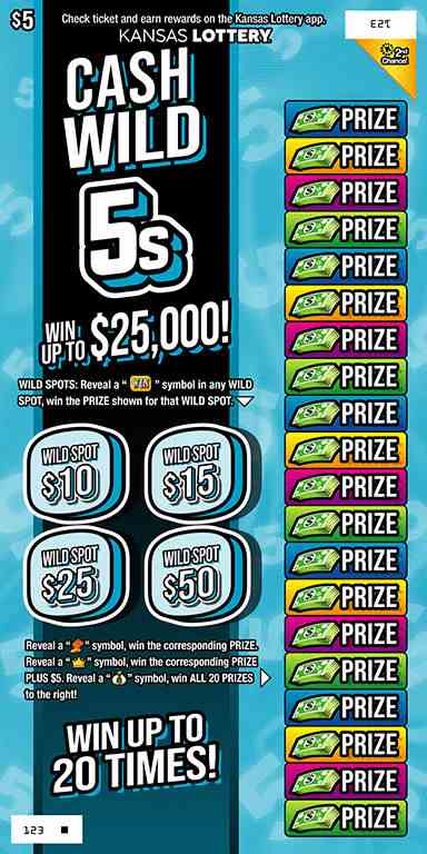 Cash Wild 5S scratchcard - game number #484 - front