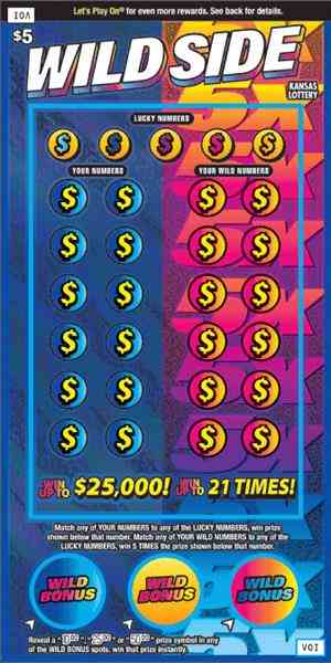 Wild Side scratchcard - game number #358 - front