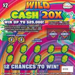 Wild Cash 20X scratchcard - game number #993 - front