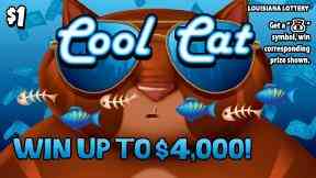 Cool Cat scratchcard - game number #1670 - front