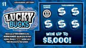Lucky Bucks scratchcard - game number #1690 - front
