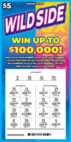 Wild Side scratchcard - game number #1660 - front-scratched