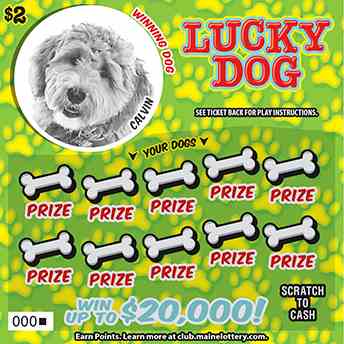 Lucky Dog scratchcard - game number #0 - front