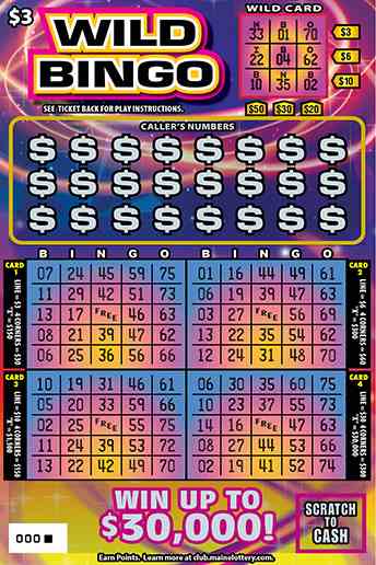 Wild Bingo scratchcard - game number #0 - front