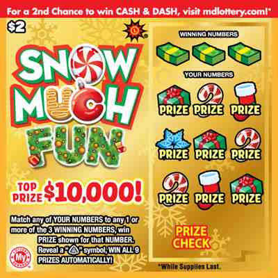 Snow Much Fun scratchcard - game number #768 - front