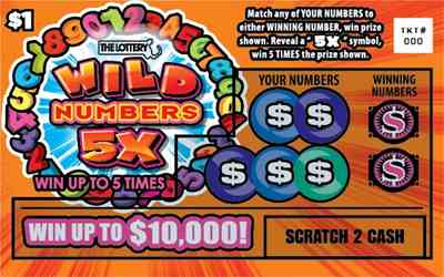 Wild Numbers 5X scratchcard - game number #309 - front