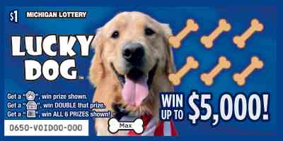 Lucky Dog scratchcard - game number #650 - front