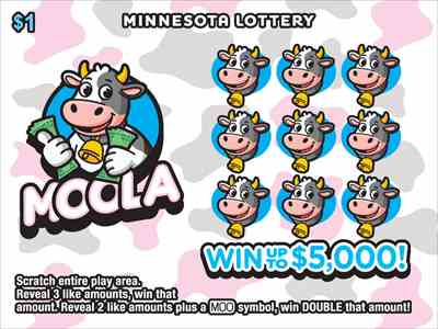 Moola scratchcard - game number #2082 - front
