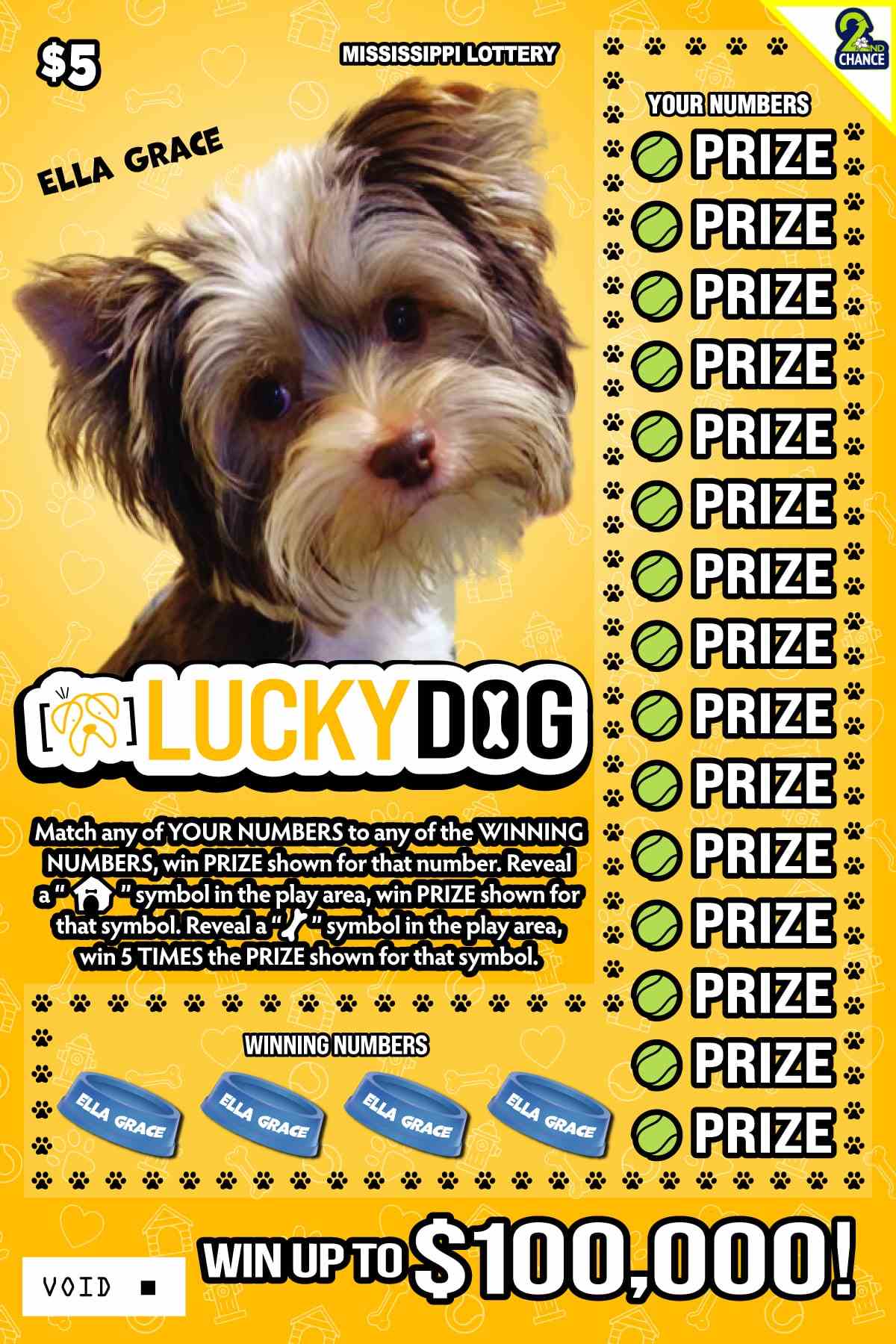 Lucky Dog scratchcard - game number #173 - back