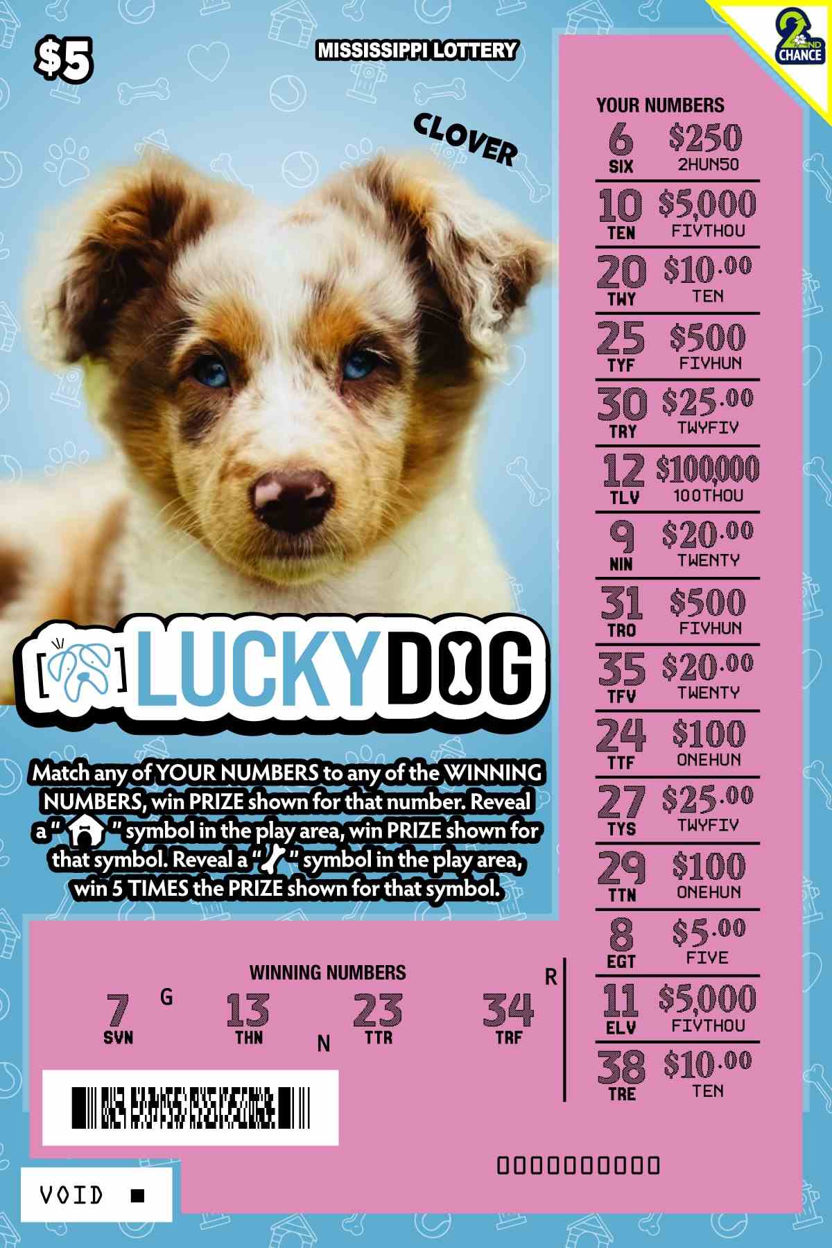Lucky Dog scratchcard - game number #173 - front-scratched