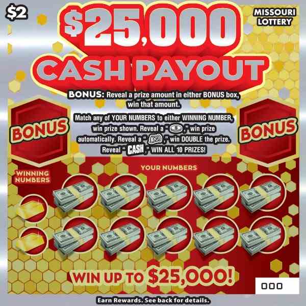$25,000 Cash Payout scratchcard - game number #450 - front