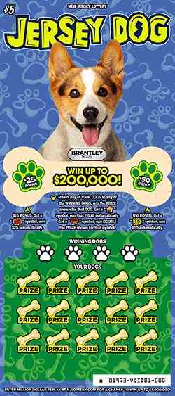 Jersey Dog scratchcard - game number #1973 - front