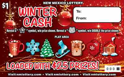 Winter Cash scratchcard - game number #693 - front