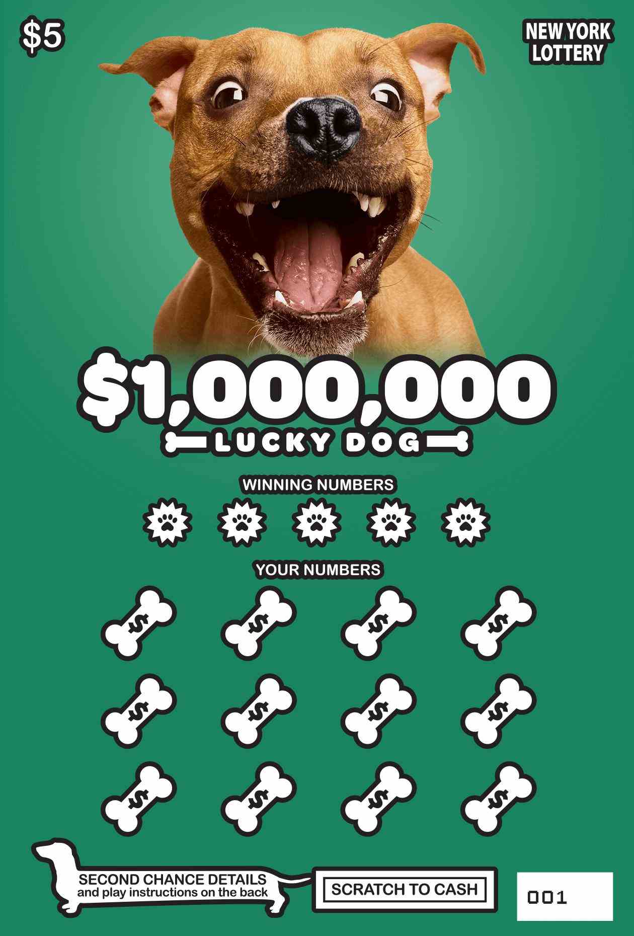 $1,000,000 LUCKY DOG scratchcard - game number #1518 - front