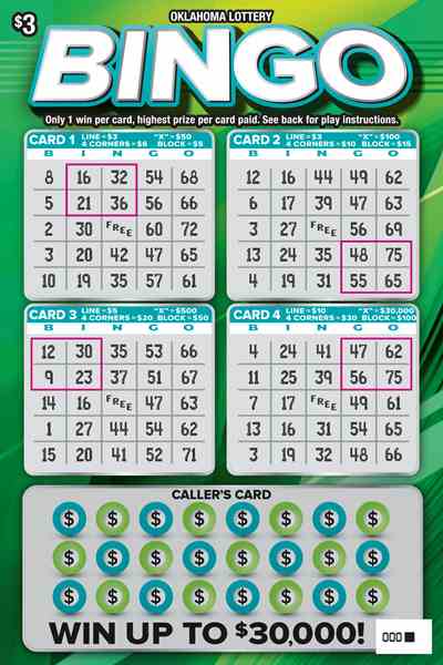 Bingo scratchcard - game number #732 - front