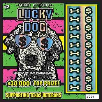 Lucky Dog/Cool Cat scratchcard - game number #2476 - front