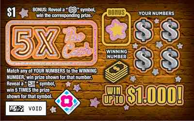 5X The Cash scratchcard - game number #1538 - front